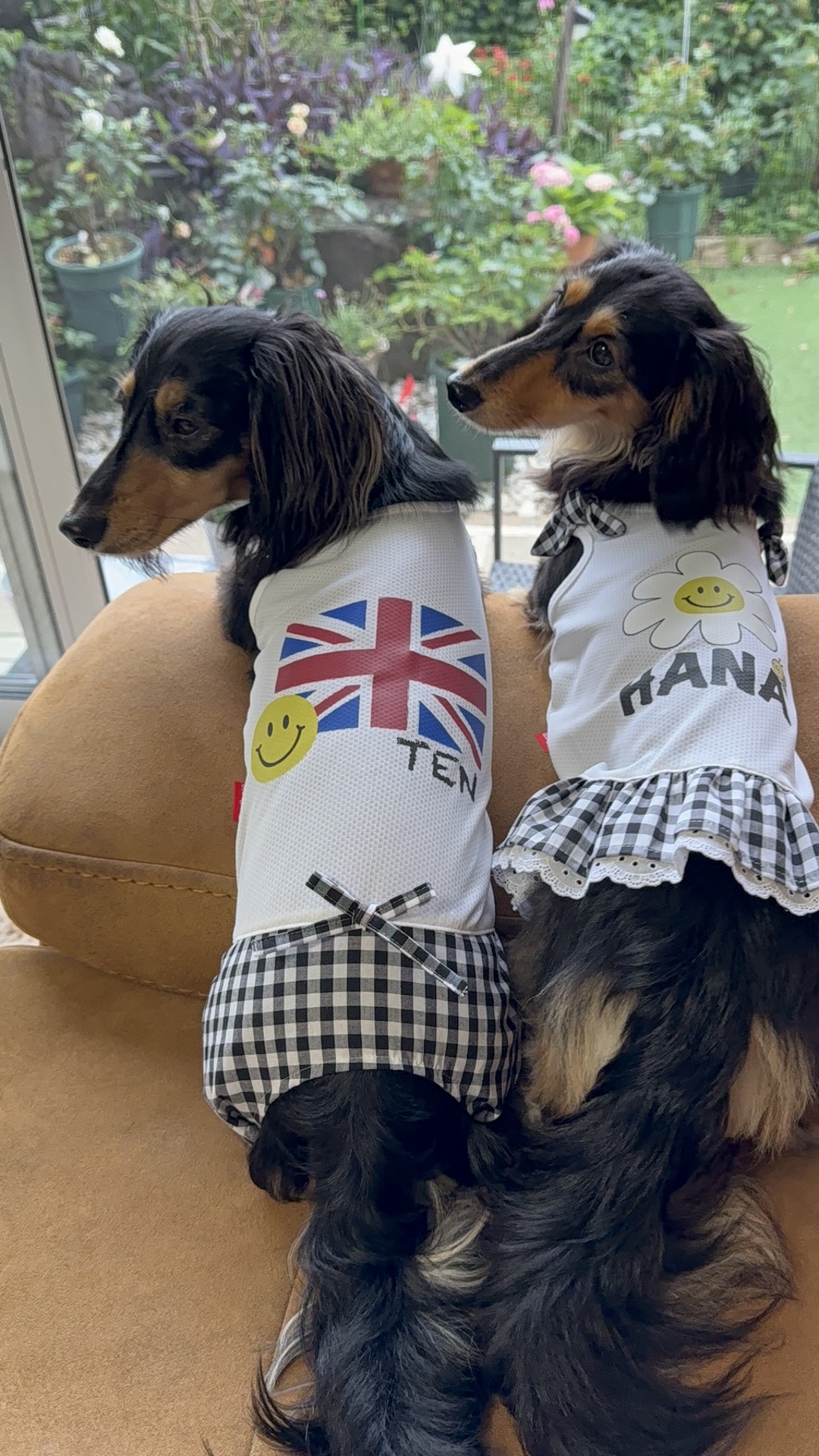 みんなの犬服コーデ】お名前：TEN＆HANA｜服の種類：ワンピース